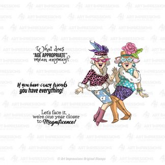 4989 - Crazy Friends Set