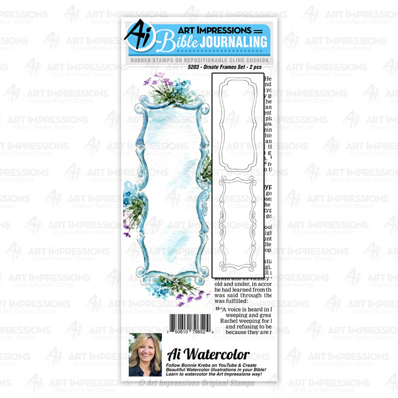 5203 - Ornate Frames Set