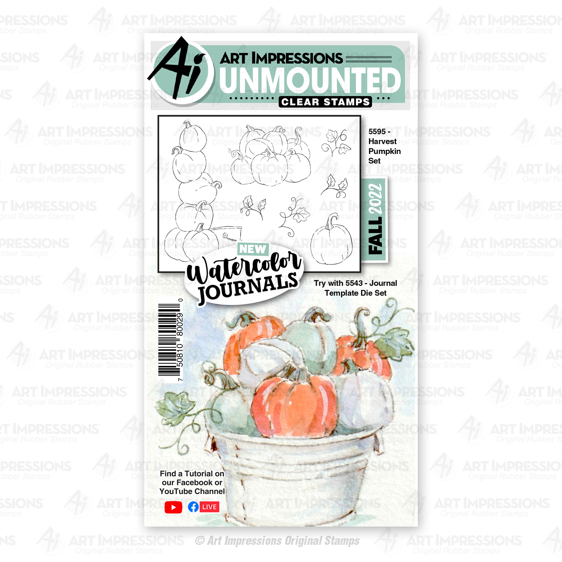 5595 - Harvest Pumpkin Set