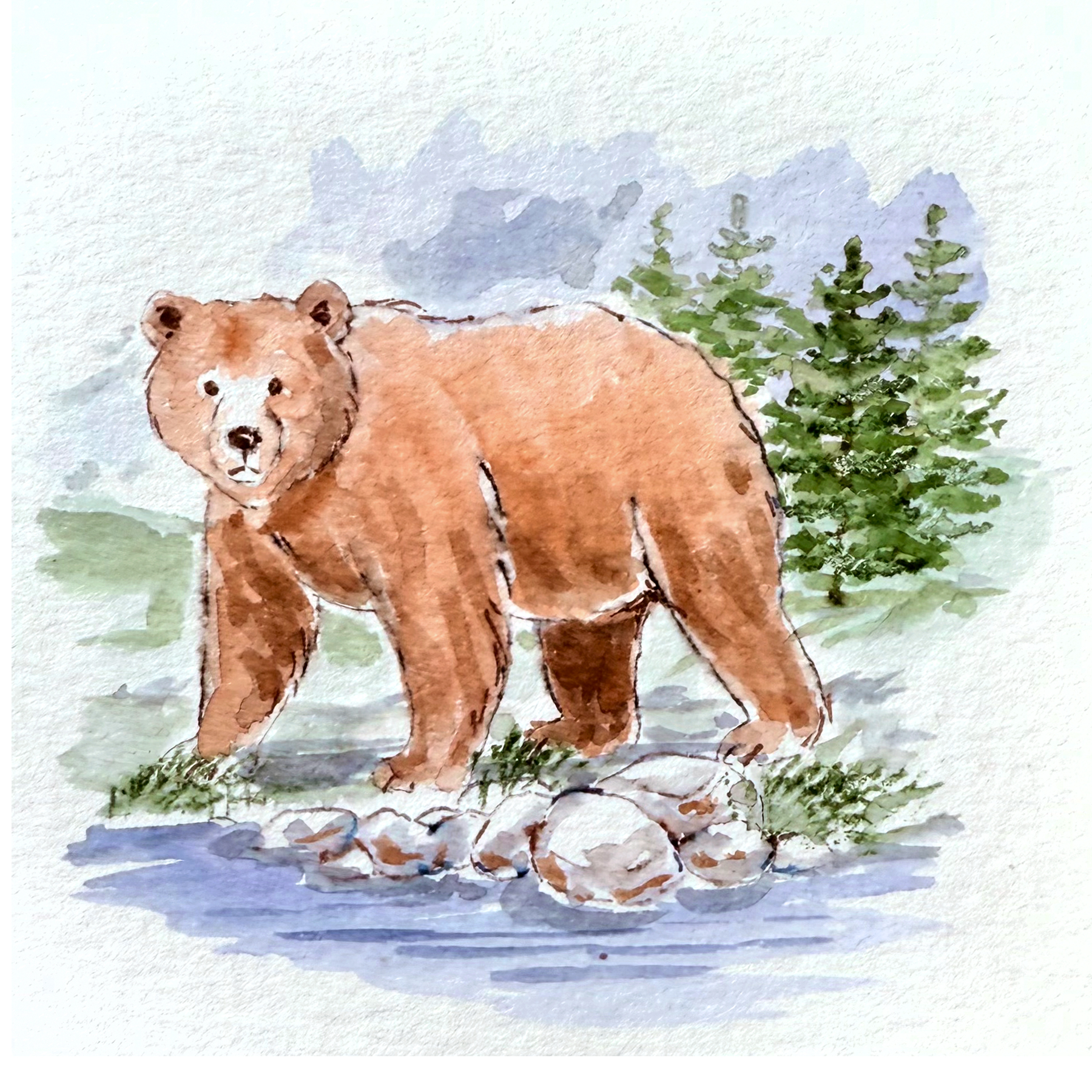 s1